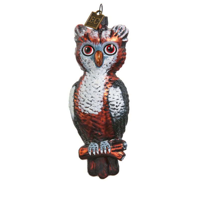 4.75 Give A Hoot Glass Ornament by Eric Cortina