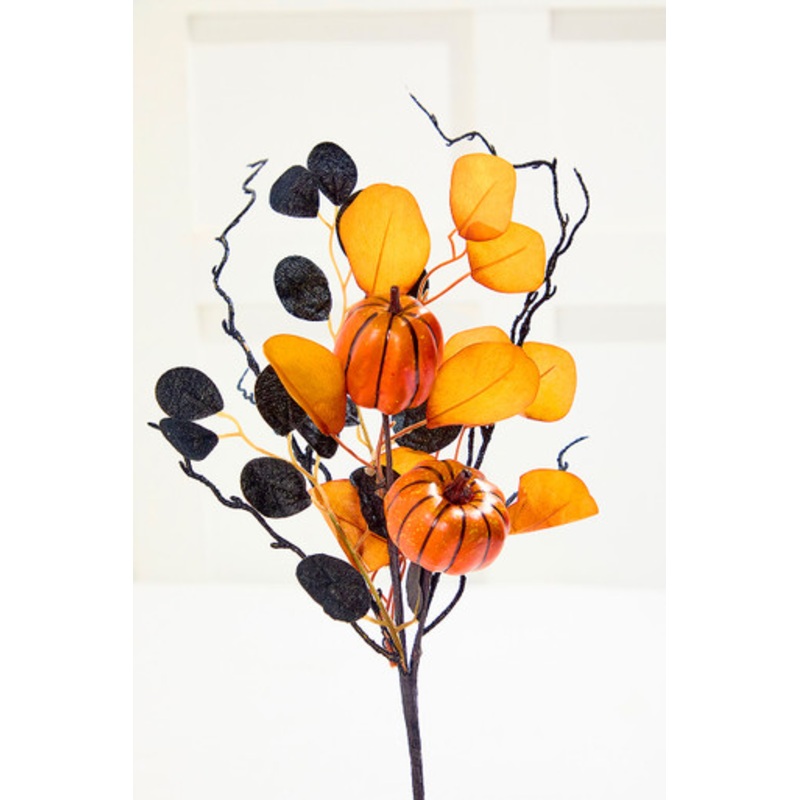 20 Pumpkin Eucalyptus Spray