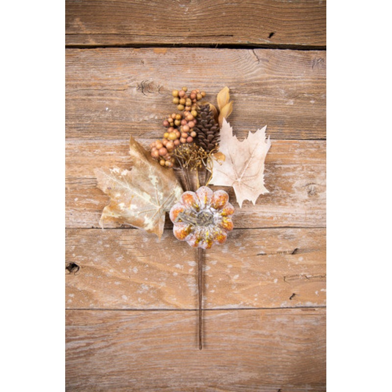 15 Pumpkin Berry Spray