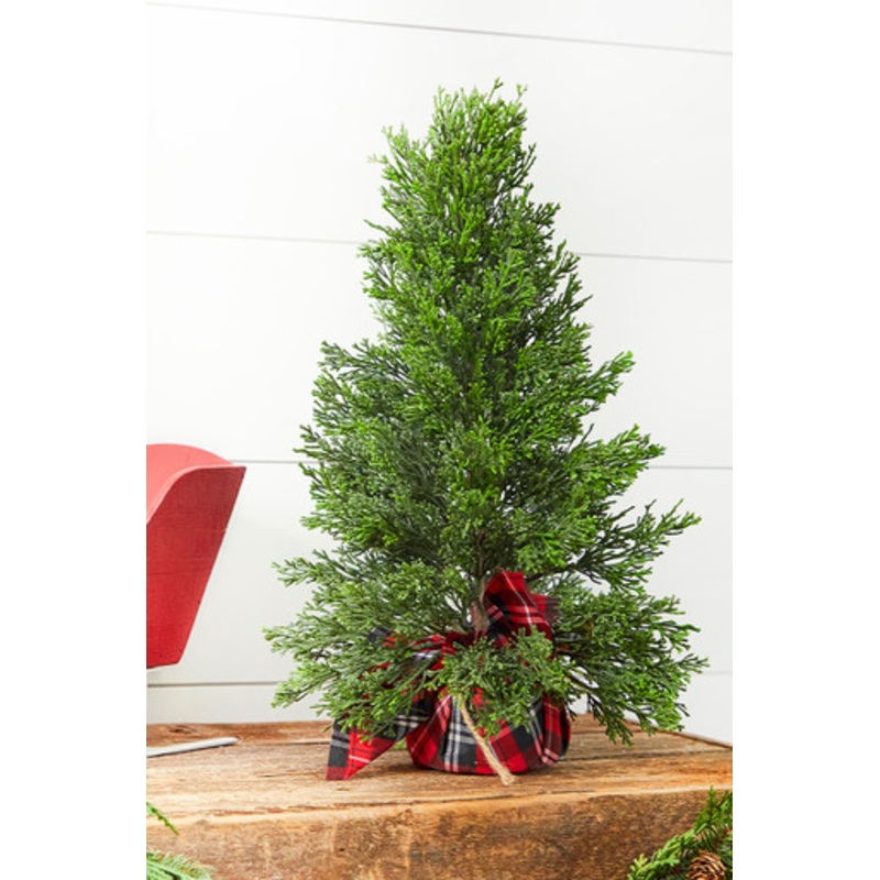 24 Cedar Tree In Plaid Sack