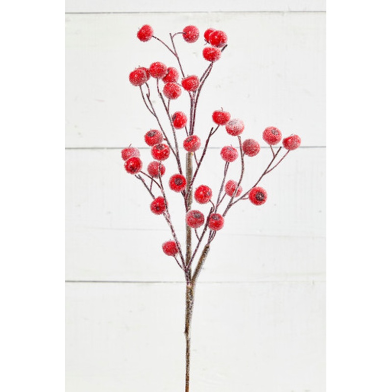 26 Beaded Crabapple Spray – Red