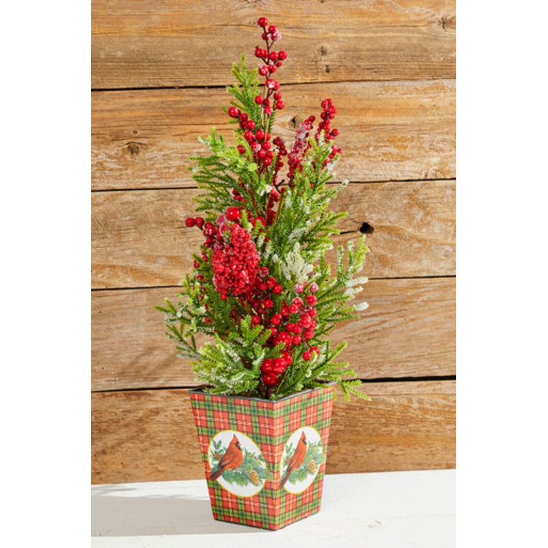 26 Frost Weatherproof Berry Mini Spruce Tree in Pot