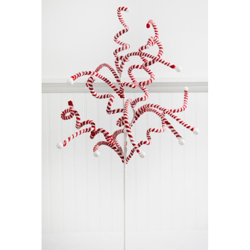 23 Peppermint Curly Spray