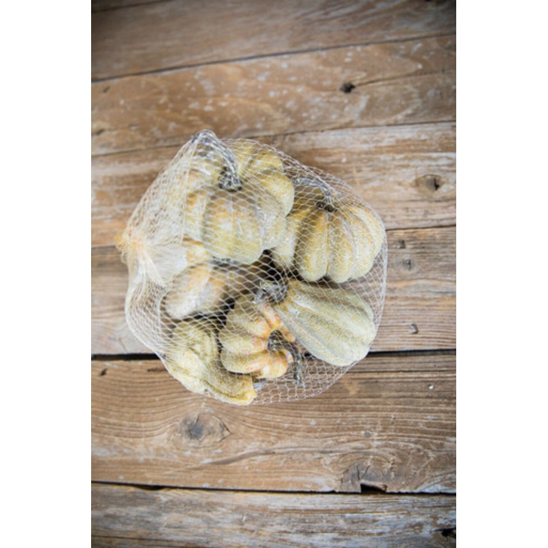 6 Piece Pumpkins & Gourds Set