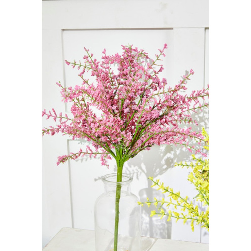 21 Pink Heather Bush