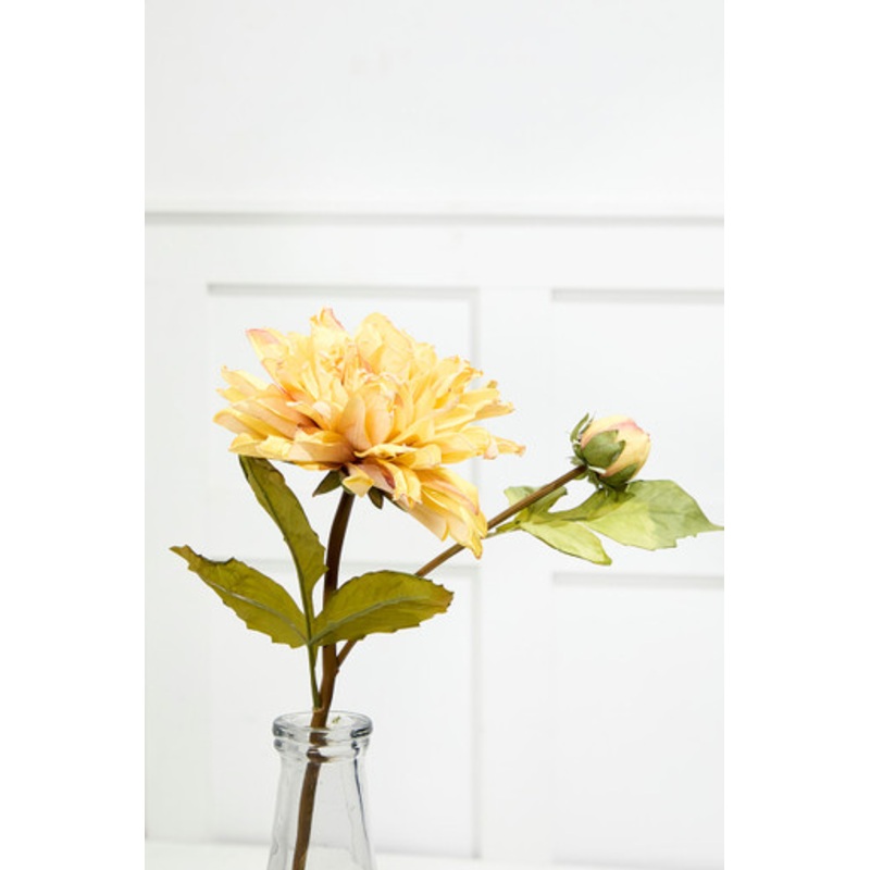 21 Dried Dahlia with Bud Stem