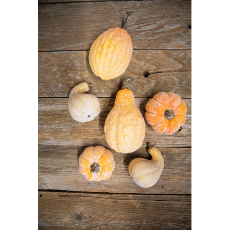 6 Piece Pumpkins & Gourds with Mesh Bag