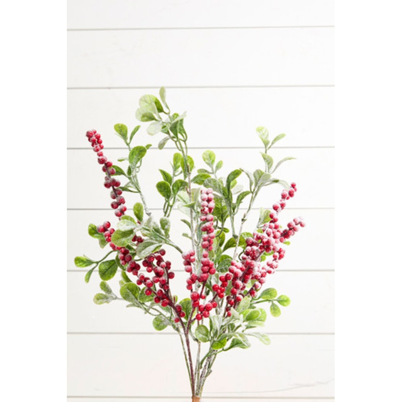 19 Red Berries and Frosted Mistletoe Bush