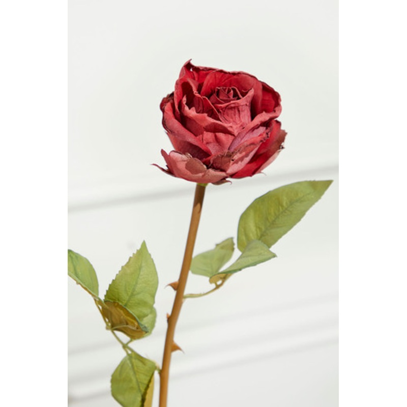 21 Dried Red Rose Stem
