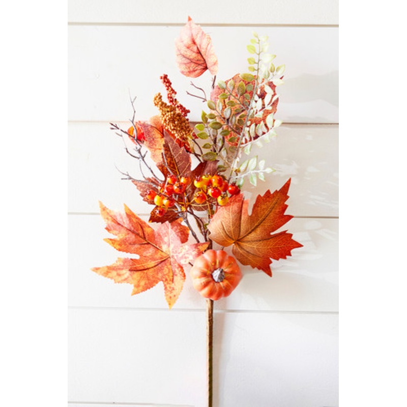 15 Pumpkin Fall Pick Harvest