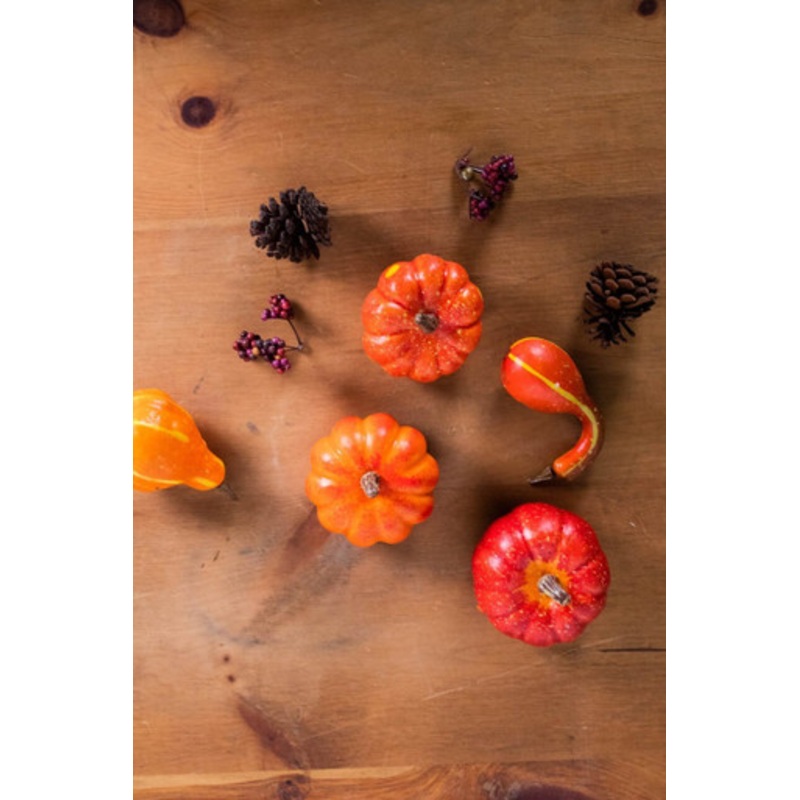 7 Bagged Pumpkins and Gourds