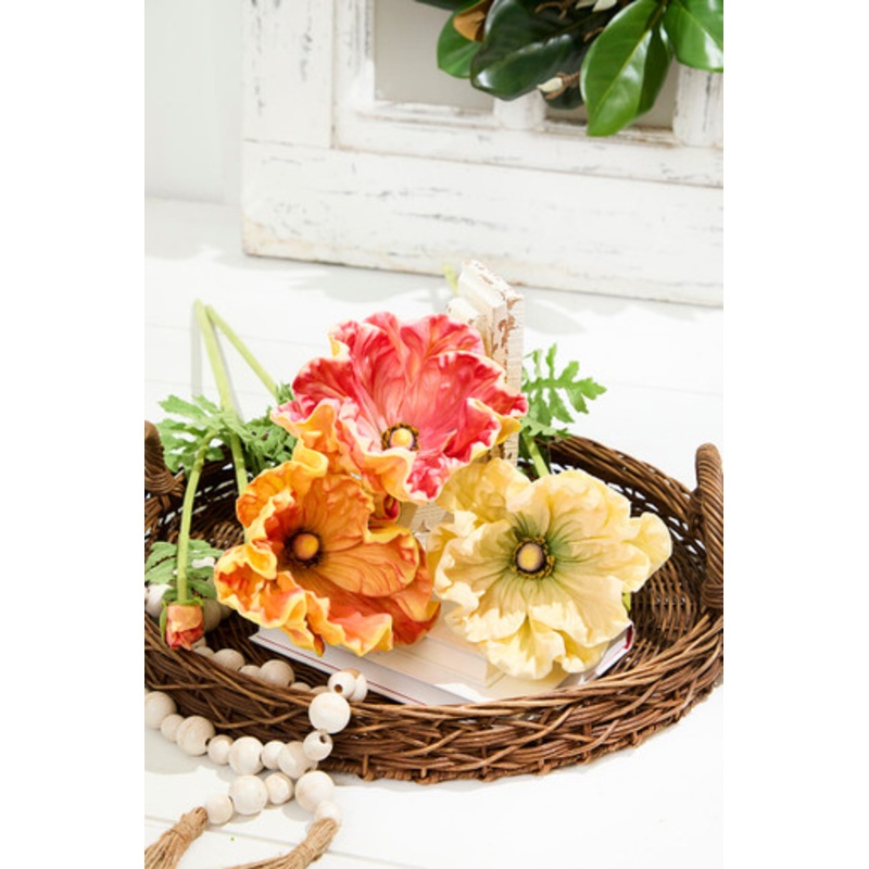 29 Giant Ranunculus Stem