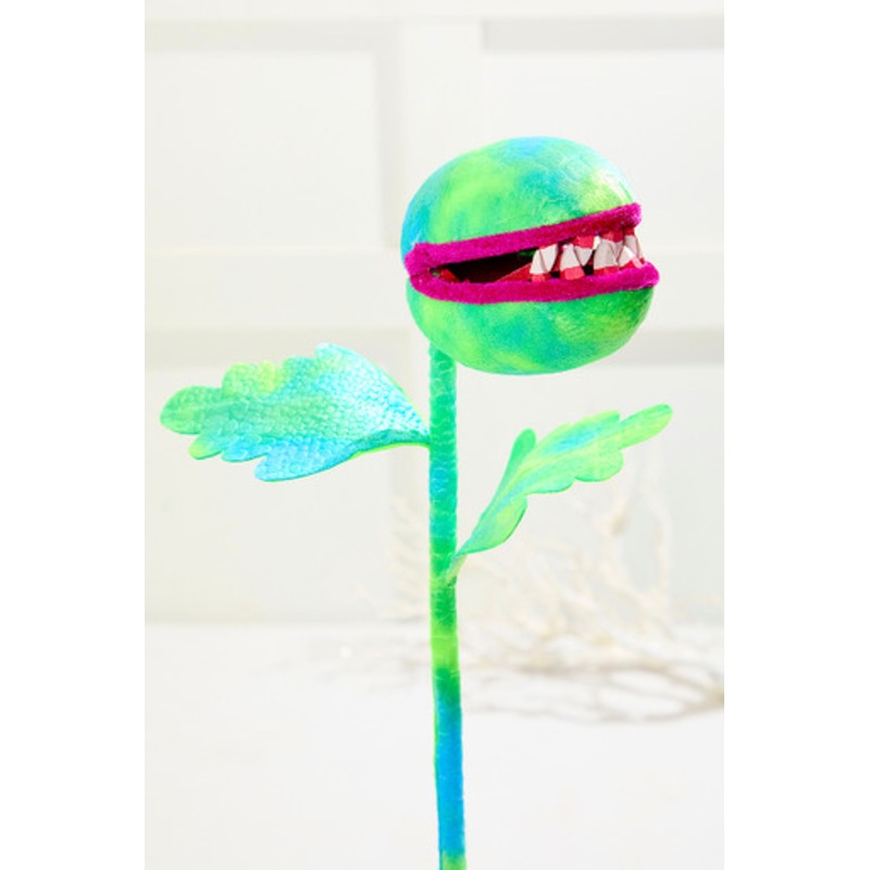23 Carnivorous Plant Stem
