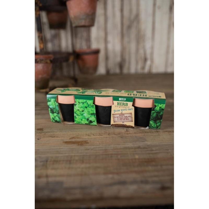 Terracotta Herb Pots – Set of 3